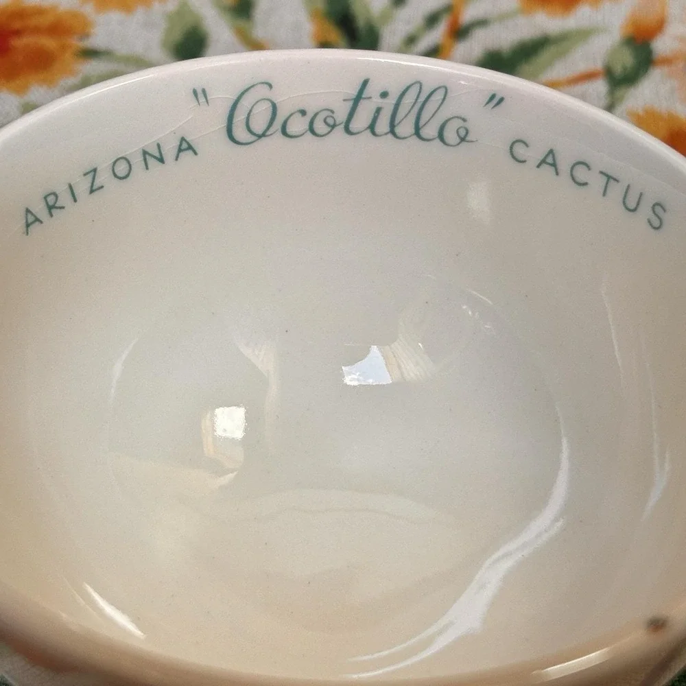 VTG Arizona Cactus Dinnerware Ocotillo Teacup Saucer Mid-Century Southwestern